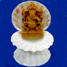 Shell Ganesha(Big size)